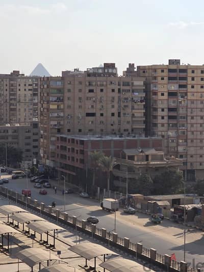 شقه المريوطيه الرئيسي
