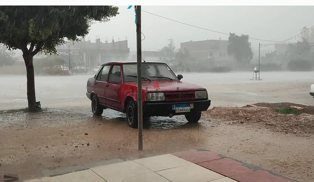 فيات شاهين 2005 2005