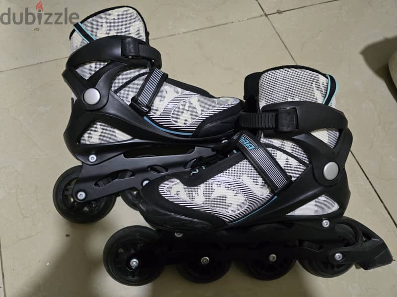 Skate 1