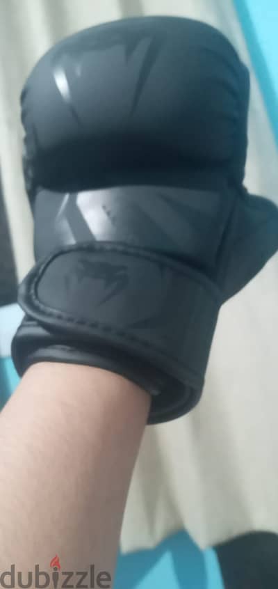 gloves mma