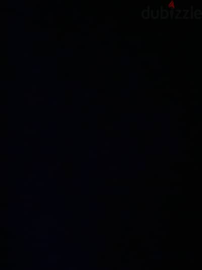 مطلوب كلب للتبني