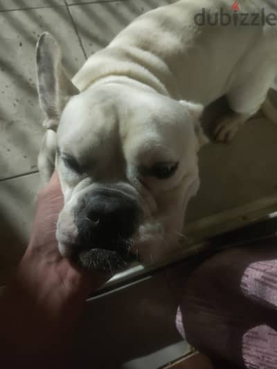 Rokyy