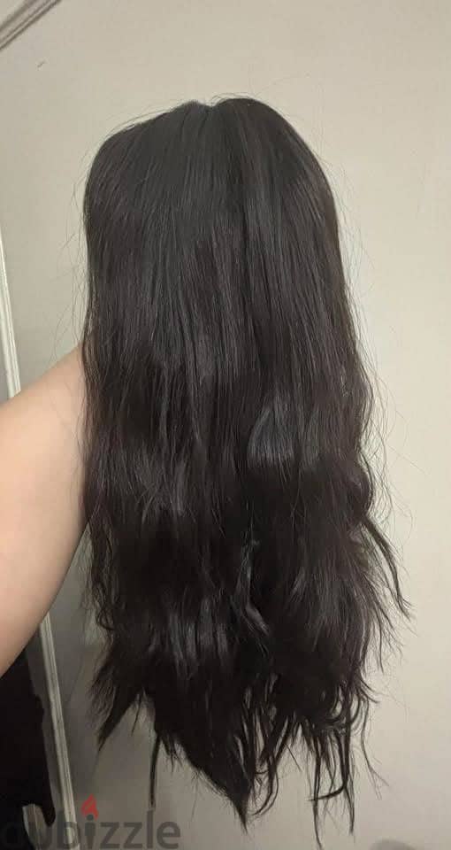 Hair wig 1