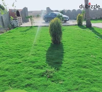 Limited_time_only Pay 100,000 Egyptian pounds and own a farm (5 acres)