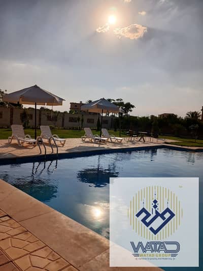 طريق اسكندريه الصحراوي
