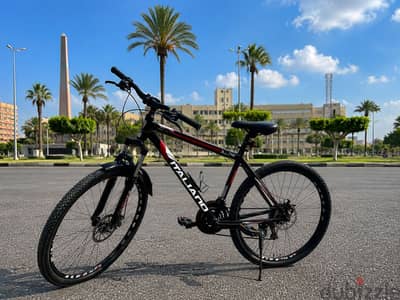Italiano Bike for sale