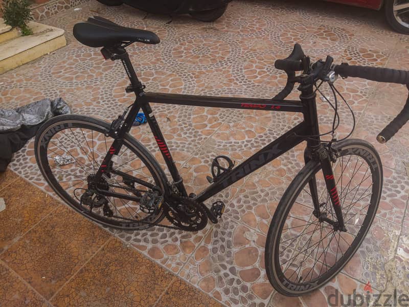 Trinx tempo 1.4 2025 1