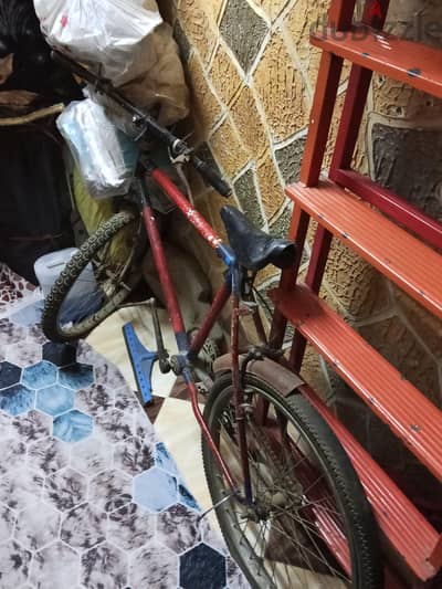 عجله مستعمله المرج روض الفرج