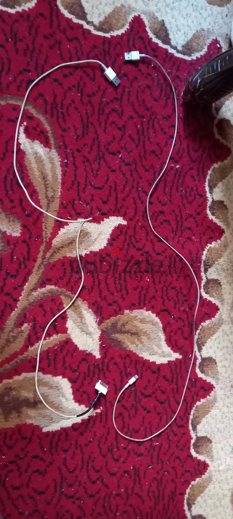 كابل ابل 1