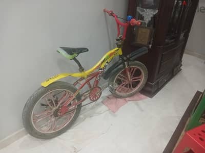 حدائق  الاهرام