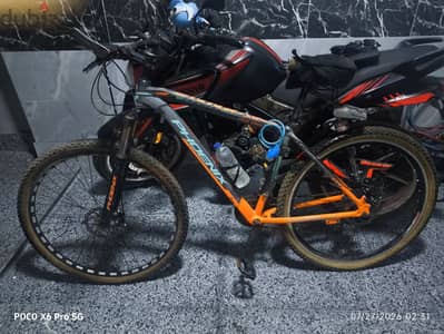 phonix bike عجله فونكس