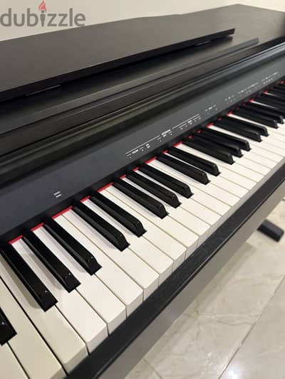 Piano Roland Rp30