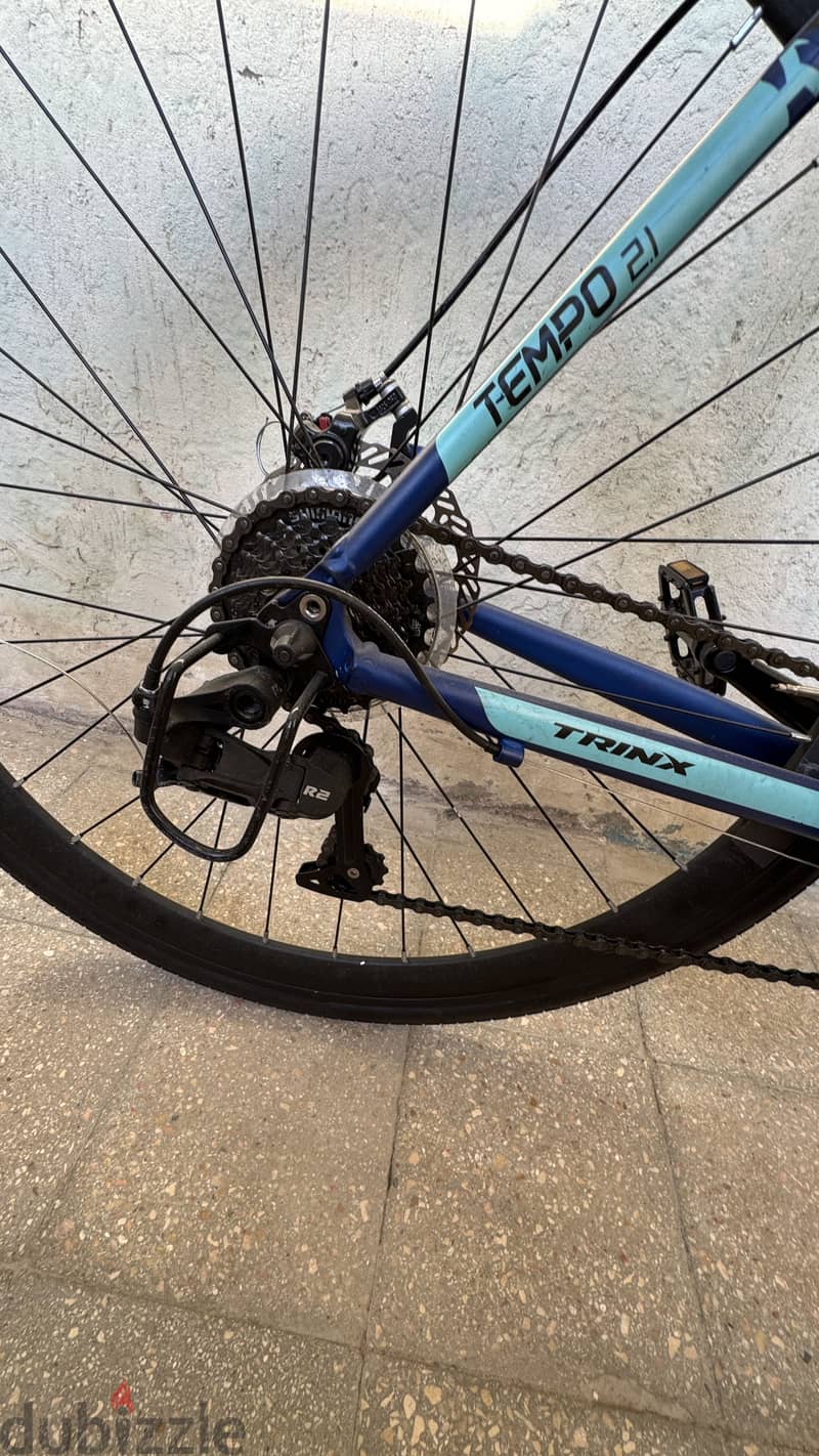 Trinx 2.1 8