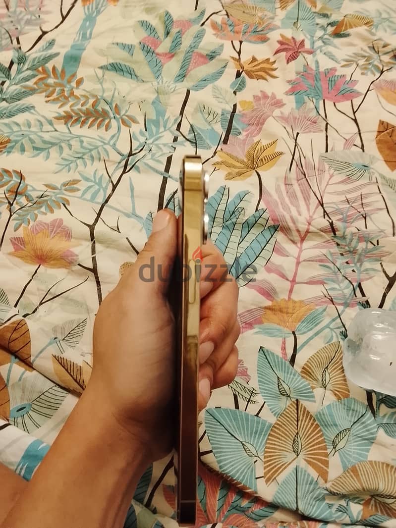 Apple - iPhone 12 Pro Max 1