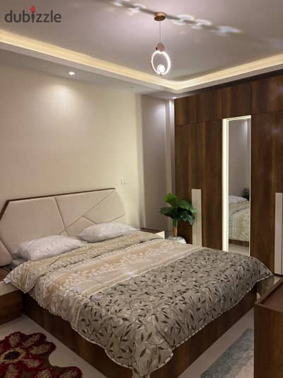 Furnished apartment with super deluxe finishes