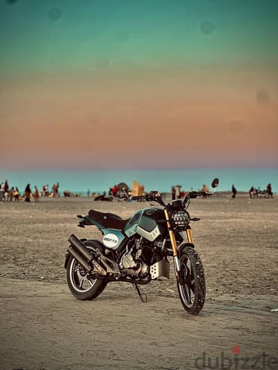 كفر الشيخ