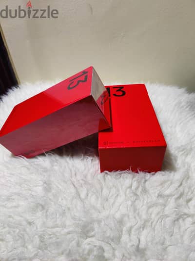One plus 13