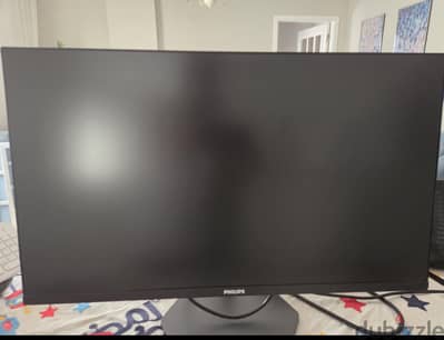 Philips 31.5 Inch QHD IPS 100Hz