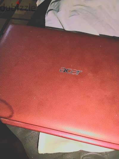 Acer.