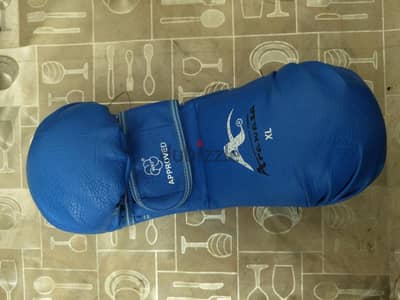 Karate Gloves