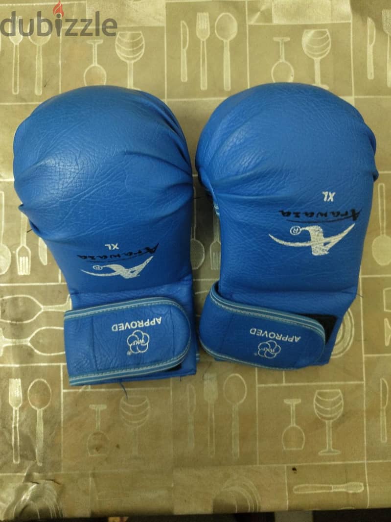 Karate Gloves 1