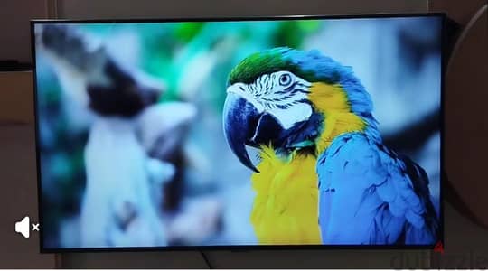 بيع شاشه 43 سامسونج إصدار حديث بدون فريم