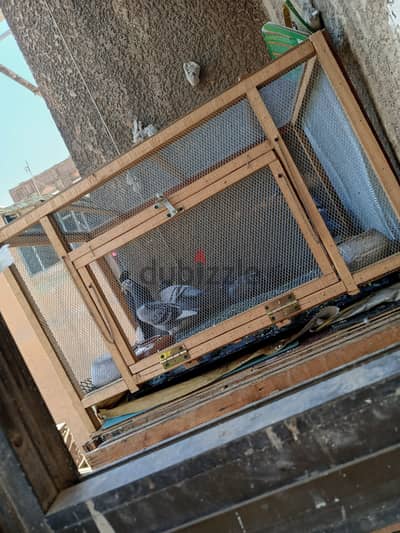 دشار حمام