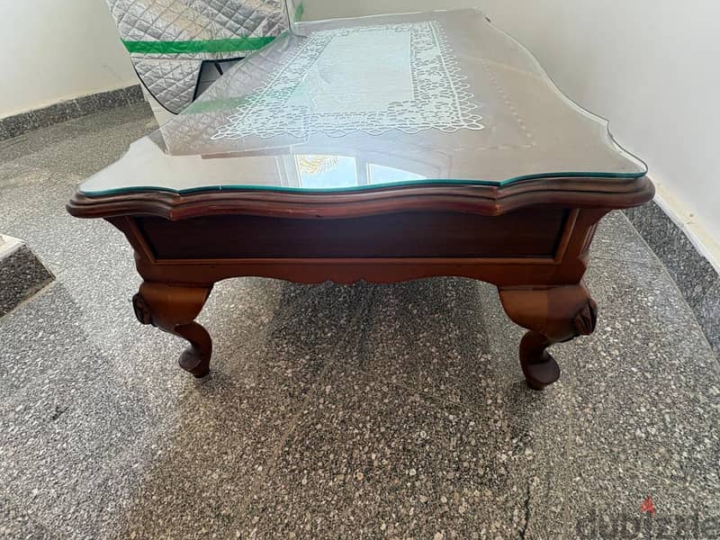 zan coffee table 3