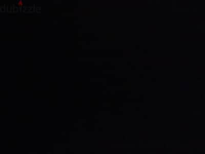 مطلوب اي كلب تبني