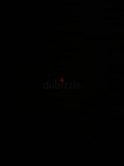 محتاج كلب تبنى