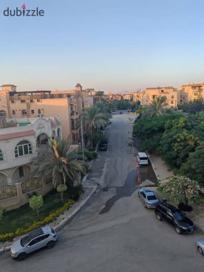 مطلوب شقه للايجار بالتجمع الخامس مطلوب شقه للايجار بالتجمع الخامس