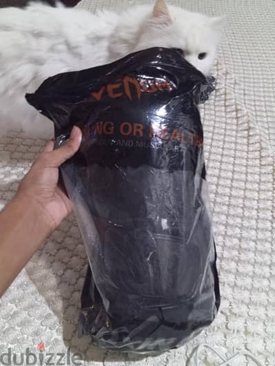 kickboxing gloves