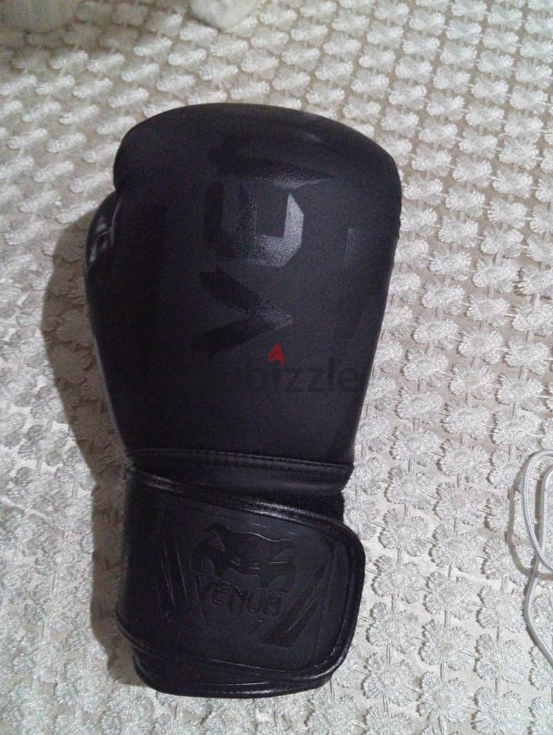 kickboxing gloves 1