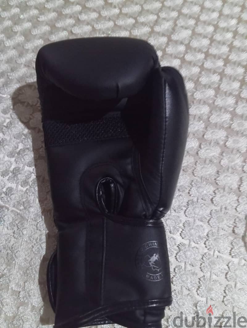 kickboxing gloves 2