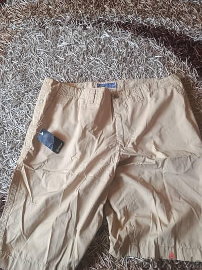gardeur short size 56