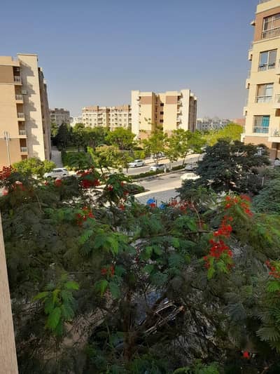 Apartment for rent under the law in Madinaty 116m B11 repeated floor garden view next to services, the mosque, and the first season park