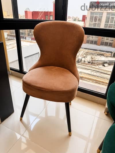 Dinning chairs