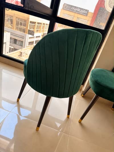 Dinning chairs