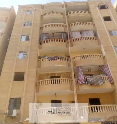 أرخص شقه خلفي بحري محارة وحلووق مش طوب احمر في الحدايق كلها