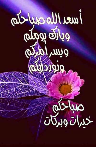 Mahmoud zaghloul
