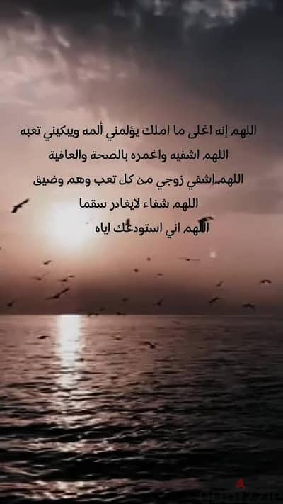 عربيه لمشوار