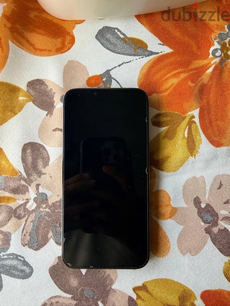 Apple - iPhone 13 Pro Max 1