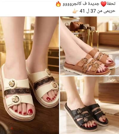 محل كانجرو شوز ميت غمر