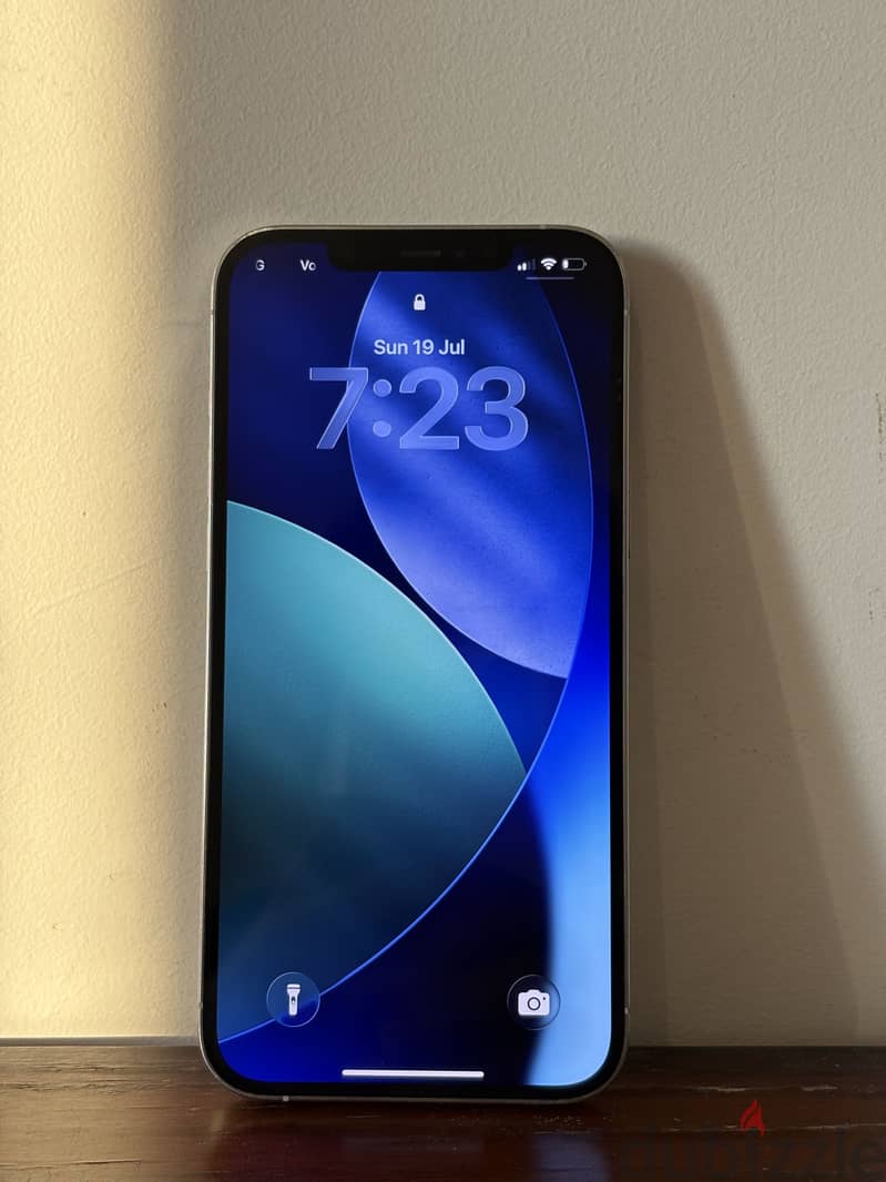 Apple - iPhone 12 Pro Max 1