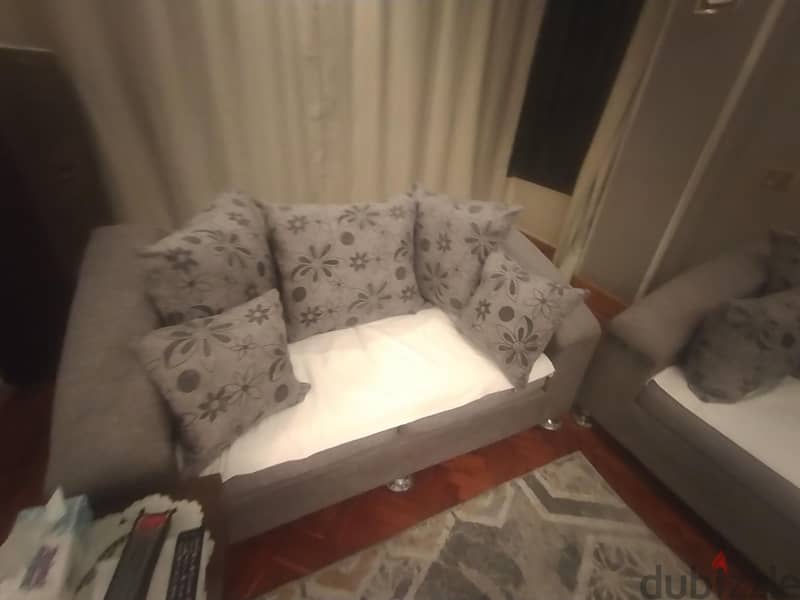 living room greay color 3