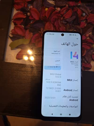 شاومي ريدمي 10