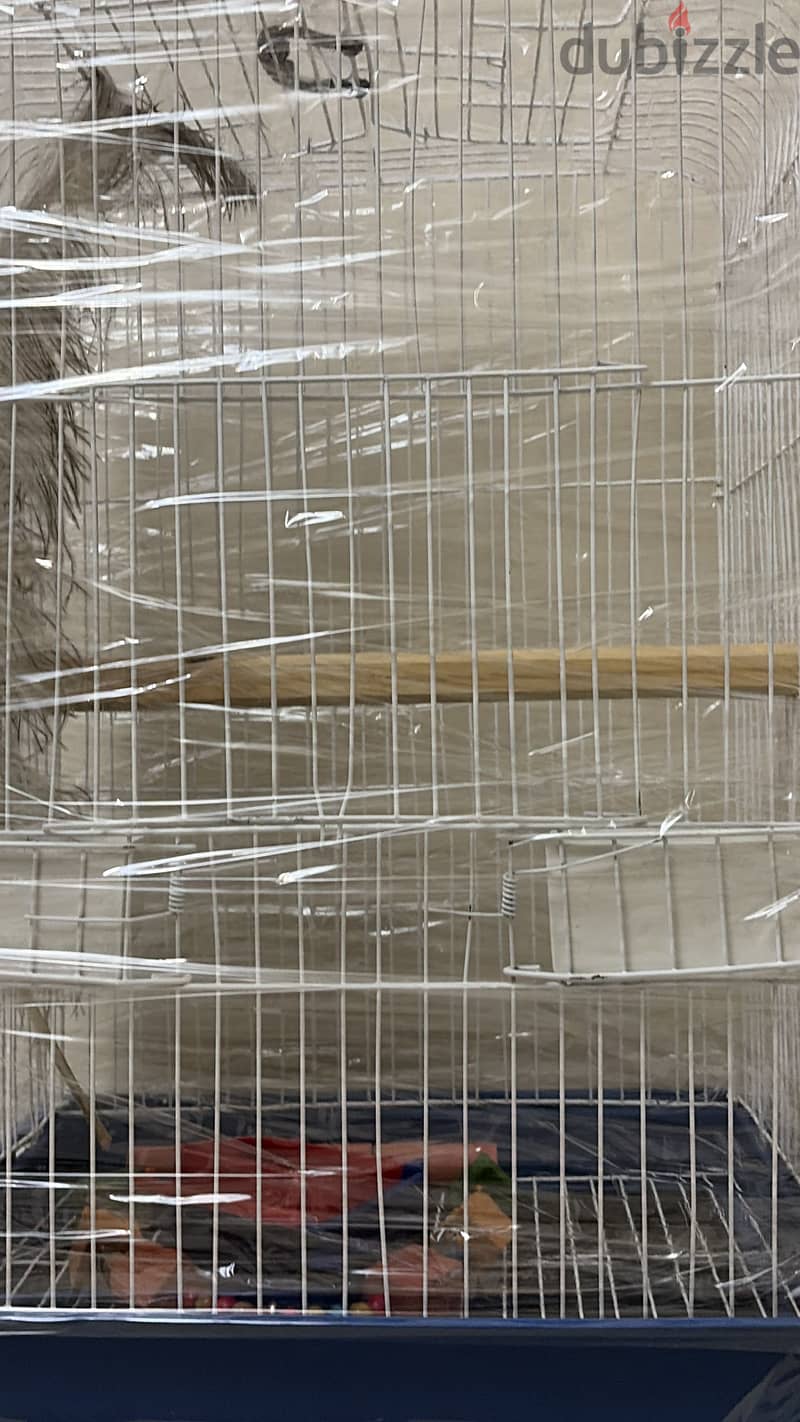 Bird cage 1