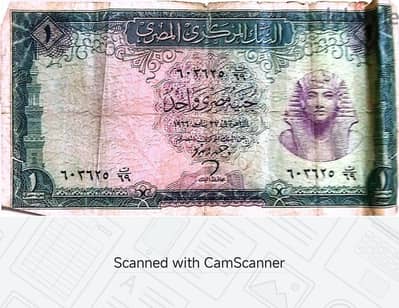 جنيه مصري