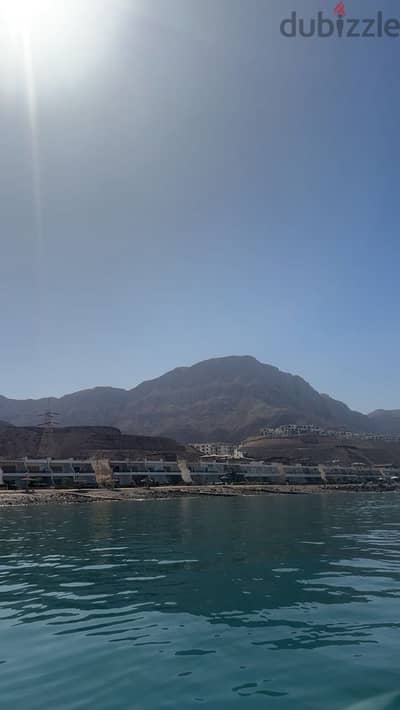العين السخنه