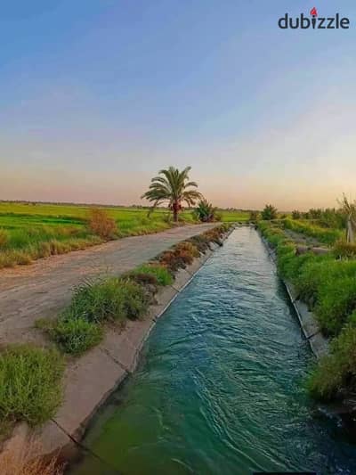 قطعه ارض مميزه لراغبين الاستثمار الزراعي و الانتاج الحيواني